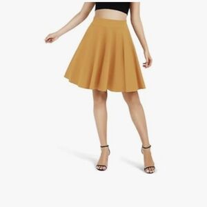 Chic Mustard Skater Skirt